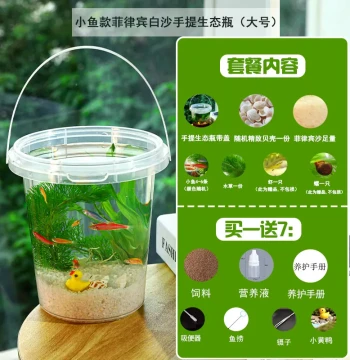 Wholesale Exclusive Link: Grade 5 Science Eco-Bottle DIY, Zebra Fish Micro-Landscape Ornamental Fish Tank (No Water Change Required)