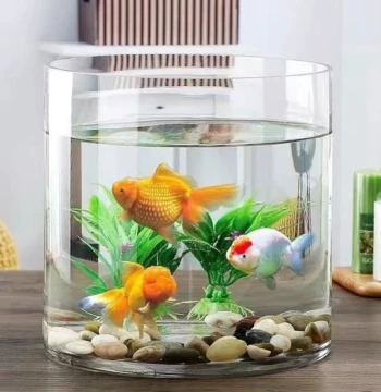 Transparent Glass Cylindrical Straight Tube Fish Tank Desktop Eco Small Goldfish Tank Landscaping Hydroponics Fish Turtle Dual Use