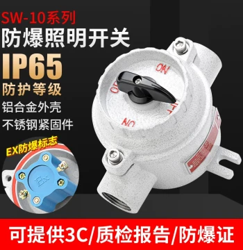 Explosion-Proof Lighting Switch SW-10 Industrial Lighting Lamp Power Supply Conversion Box 220V Three-Phase 380V Single-Pole 10A