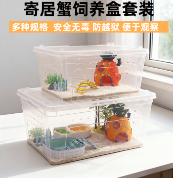 Hermit Crab Beginner Kit Breeding Box Supplies Companion Crab Set Desktop Pet Children's Gift