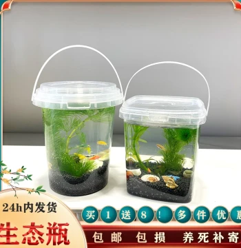 DIY Small Fish Eco-Bottle Handheld Plastic Cold Freshwater Ornamental Fish Shrimp Snails Live Aquatic Plants Micro Landscape