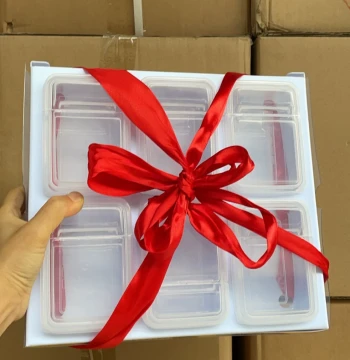 0.3L*6 Mini Fresh-Keeping Containers Sample Boxes Fruit Food Portioning Storage Plastic Boxes Brand Gifts