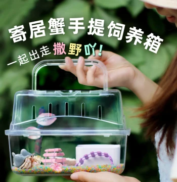 Hermit Crab Portable Breeding Box Kit ~ Beginner Hermit Crab Care Set, SpongeBob Theme, Kids' Gift