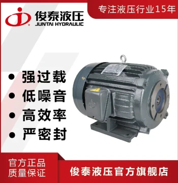 Horizontal Hydraulic Internal Shaft Motor 2HP-4P 1.5KW Matching Motor for Injection Molding Machines - Cast Iron Electric Motor