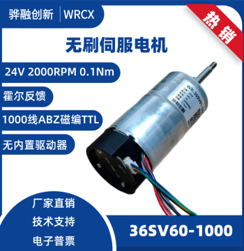 BLDC Brushless DC Servo Motor, 3-Phase with Hall Sensors and Encoder Feedback, 1000 Lines ABZ TTL