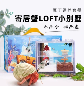 Mopai Hermit Crab Starter Kit for Beginners ~ LOFT Multi-Level Small Apartment Building Block Box Desktop Pet