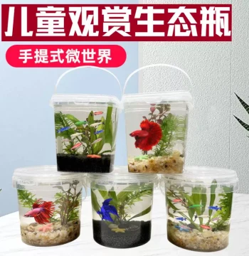 Children's Ornamental Eco-Bottle Portable Micro-Landscape Fish Tank Betta Fish Tank Transparent Plastic Round Portable Eco-Tank