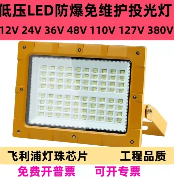 36V LED Explosion-Proof Light 12V 48V Floodlight 24V Explosion-Proof Spotlight 127V Coal Mine Lamp 110V 380V DC