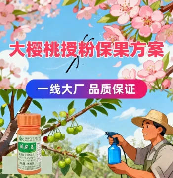 Large Cherry Fruit Preservation Medicine Guoguang Lanyue Combination Open-Field Large Cherry Sweet Cherry Flower Dipping Fruit Setting Medicine