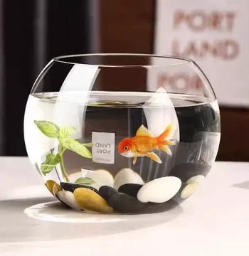 Office Small Fish Tank Thickened Transparent Glass Turtle Tank Living Room Home Desktop Round Mini Small Goldfish Tank
