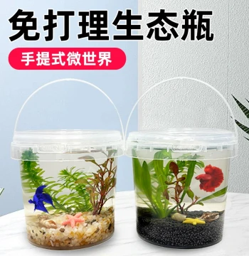 DIY Small Fish Eco-Bottle Science Project Live Fish Shrimp Snail Handle Plastic Real Aquatic Plants Micro Landscape Fresh/Cold Water