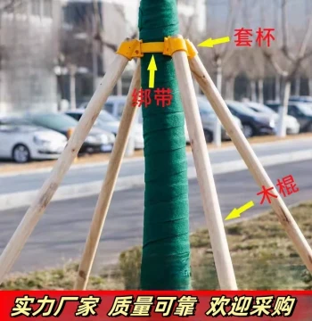 Tree Support Windproof Engineering Fixator: Fir, Pine, and Poplar Wood Poles for Landscaping Stabilization and Sapling Bracing