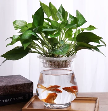 Creative Minimalist Transparent Glass Vase for Hydroponic Pothos Plants and Fresh Flowers, Living Room Decorative Flower-Edged Fish Tank
