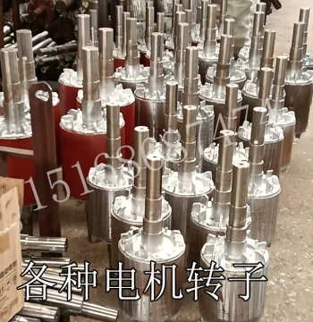 Oil Pump Motor Rotor Shaft Motor Rotor Accessories Oil Pump Electric Motor Rotor Custom Rotor Shaft Core