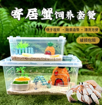 Beginner Hermit Crab Tank Kit - Complete Supplies for Crab Sand Fiddler Crab Breeding Box Landscaped Aquarium