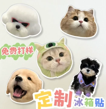 Custom Acrylic Cat Photo Fridge Magnet DIY Creative 3D Magnetic Pet Ornament