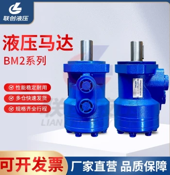 Orbital Hydraulic Motor BMR/BM2-50 160 200 with Flat Key for Forward/Reverse High/Low Speed High Torque Oil Motor
