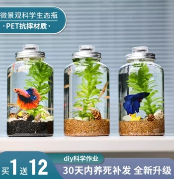 Creative Aquarium Eco Bottle Micro Landscape Betta Fish Tank No Water Change Low Maintenance Desktop DIY Landscape Fish Tank