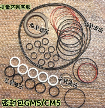 Internal & External Five-Star Hydraulic Motor Seal Kit: Complete Set of Plunger Rings for CM and GM Series, Direct from Manufacturer