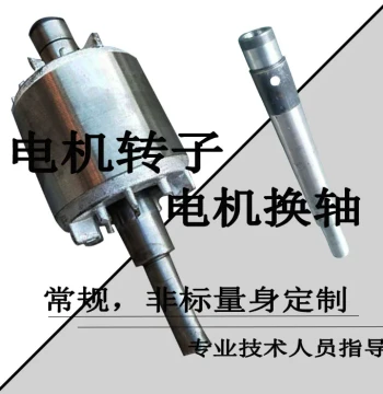 Oil Pump Motor Rotor Shaft Motor Rotor Accessories Oil Pump Motor Rotor Motor Rotor Custom-Made Rotor Shaft Core