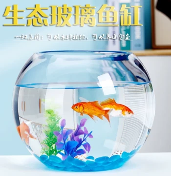 Office Desk Glass Fish Tank Goldfish Aquarium Living Room Small Desktop Turtle Tank Transparent Round Home Landscaping