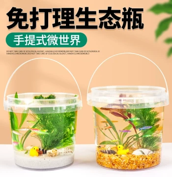 Portable Eco-Bottle DIY Live School Small Fish Plastic Ornament Micro-Landscape Fresh/Cold Water Real Ornamental Fish Shrimp Aquatic Plants