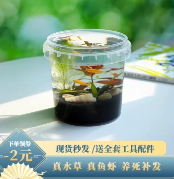 Desktop Eco-Bottle Micro-Landscape No Water Change No Maintenance DIY Materials Mini Fish Farming Eco Fish Tank Science Project