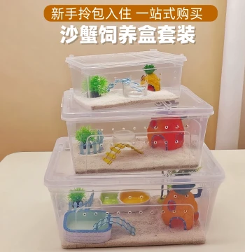 Chinese Sand Crab Breeding Box Sand Crab Eco-Tank Pet Small Crabs Desktop Pet Office Children's Day Gift