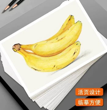 Colored Pencil Drawing Cards for Beginners, Double-Sided HD, 40 Sheets