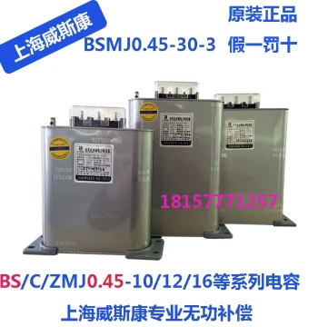 Shanghai Wiscon Electrical Group Hong Kong Co., Ltd. Self-Healing Power Capacitor BSMJ0.45-30 2015