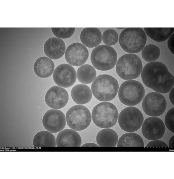 Hollow Silica Mesoporous Silica Hollow Spherical Silica for Research Invoicing Available
