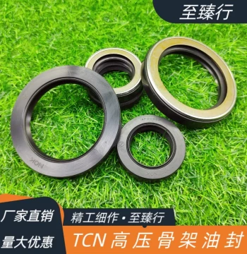 Imported Hydraulic Pump TCN High-Pressure Skeleton Oil Seal AP3842H/AP3994B 85/95*110/120*13