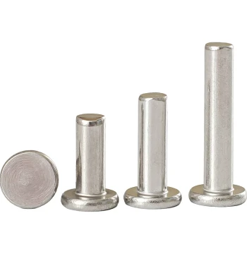 . M2 M2.5 M3 M4 M5 M6 GB109 Stainless Steel 304 Flat Head Rivet Solid Rivet Hand-Hammered Knock-Type Rivet