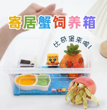 Hermit Crab Beginner Kit Breeding Box~Breeding Supplies Companion Crab Set Desktop Pet Children's Gift