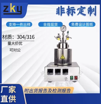 Stainless Steel Vacuum Chamber High-Temperature High-Pressure Reaction Kettle Laboratory Jacketed Electric Heating Reactor