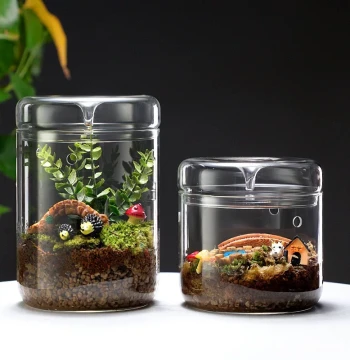 Desktop Glass Micro-Landscape Dew Collection Cup Plant Humidity Bottle Transparent Light-Acquiring Moss Bottle Fish Tank Ecological Dew Collector
