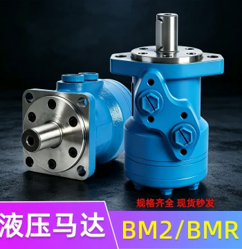 Cycloidal Hydraulic Motor Low Speed High Torque BM2 BMR 50/125/80/100/250/315/400 Single Key