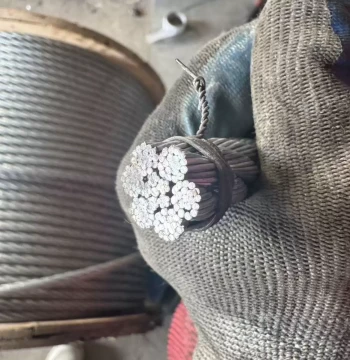 Galvanized 6*19+IWR-10/32mm Bright Galvanized Steel Wire Rope Lifting Wire Rope Hoisting Towing Rope