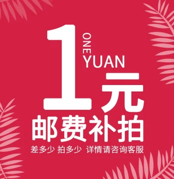 1 Yuan Additional Payment Link