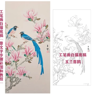 Chinese Painting Copying Draft Magnolia and Magpie Square Format for Beginners