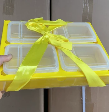 Shipped Without Outer Box! 0.5L x 4 Mini Fresh-Keeping Containers for Fruit and Food Portioning, Storage Plastic Boxes