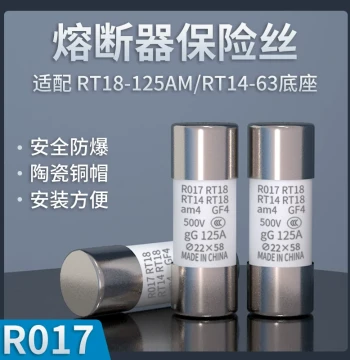 Fuse Factory R017/RO17 100A Ceramic Fuse Core 32~125A