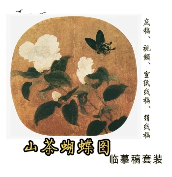 Camellia Butterfly Painting Copy Set with Xuan Paper and Silk Cloth