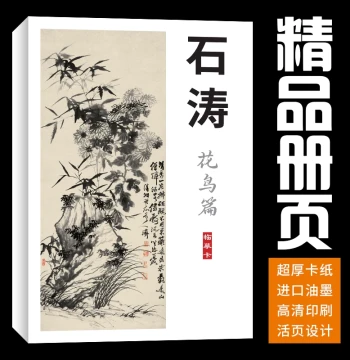 Chinese Painting Copy Cards 40 Sheets Flower Bird Plum Orchid Bamboo Chrysanthemum Shitao Album Leaves Beginner Set