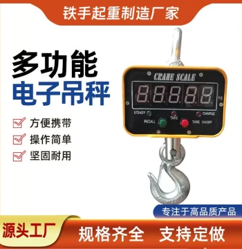 In Stock Direct-View Electronic Crane Scale from 1T to 50T, Ton Overhead Crane Weigher, 3T Hanging Scale, Electronic Hook Scale
