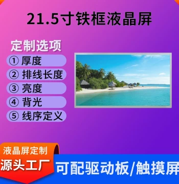 21.5 Inch LCD Display 1920*1080 Industrial LCD Screen 300 Brightness IPS Full View LCD Screen