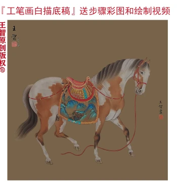 Gongbi Horse Line Drawing Square Format Copy Template