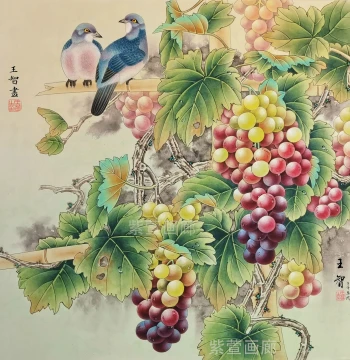 Square Format Fine Brush Painting Line Drawing Draft of Grapes, Turtle Doves, and Lychee