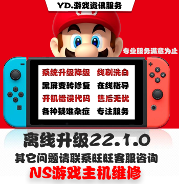 Switch System Update NS Atmosphere Upgrade 22.1.0 Downgrade Black Screen Error Repair Brick Recovery Whitewashing TX Conversion