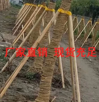 Tree Support Fixator, Support Frame Pole, Fir Pine Poplar Stick, Landscaping Windproof Engineering Stable Bracket
